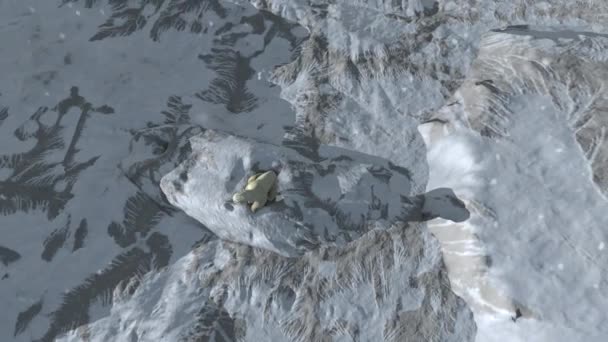 Niedźwiedź Polarny Spacerujący Samotnie Śnieżnym Krajobrazie Arktycznym Widok Góry Góry — Wideo stockowe