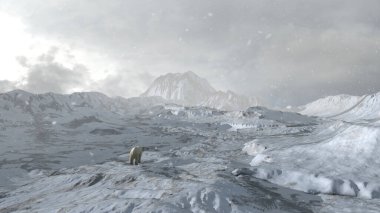 Kutup ayısı, karlı kutup bölgesinde tek başına yürüyor. Hava aracı manzarası, küresel ısınma kavramı, kuzey kutbu vahşi yaşamı.