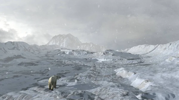 Oso Polar Caminando Solo Paisaje Ártico Nevado Vista Aérea Drone —  Fotos de Stock