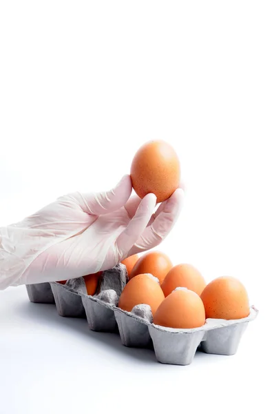 Revisión de huevos Imagen de stock