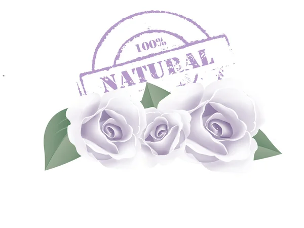 Fundo floral com carimbo com o texto natural escrito dentro do selo — Fotografia de Stock