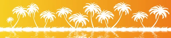Caribische palmen — Stockfoto