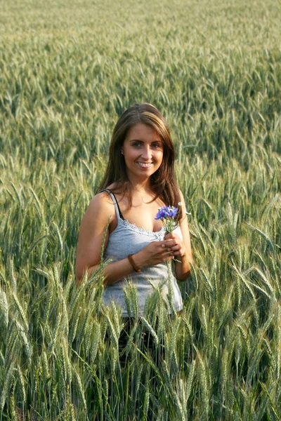 在上一个夏天的晚上小麦田中的女人 — 图库照片