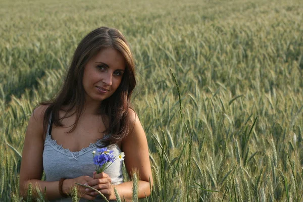 Mulher em um campo de trigo em uma noite de verão — Fotografia de Stock