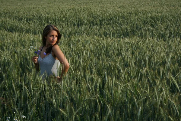 Woman in a wheat field on a summer evening — Stock Photo, Image