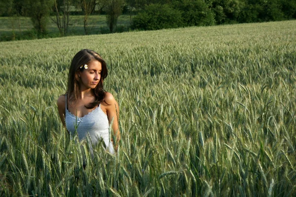 Vrouw in een tarweveld op een zomeravond — Stockfoto