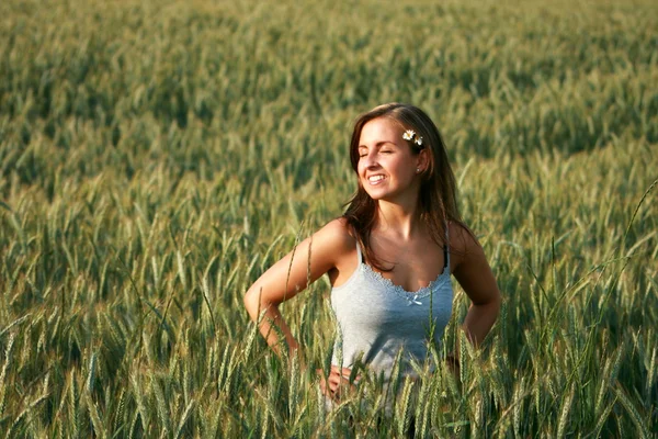 Mulher em um campo de trigo em uma noite de verão — Fotografia de Stock