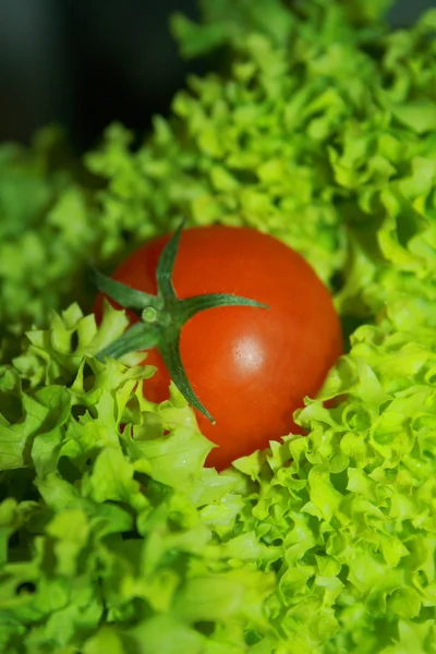 番茄蔬菜和生菜沙拉 — 图库照片