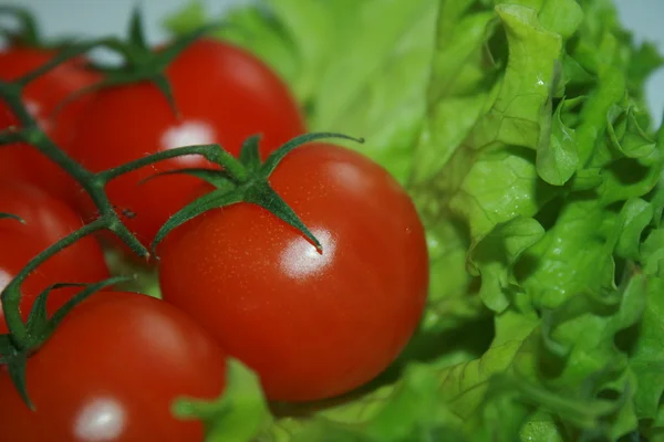 Tomato vegetable and lettuce salad — Stock Photo, Image