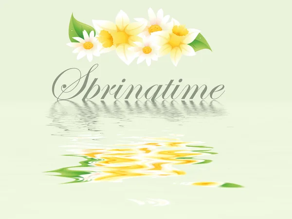 Cartão de primavera — Fotografia de Stock
