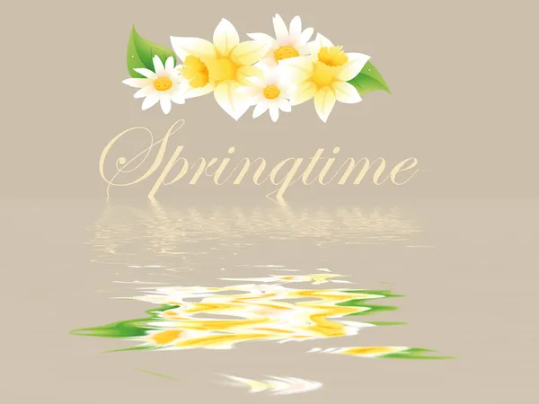 Springtime-kort — Stockfoto
