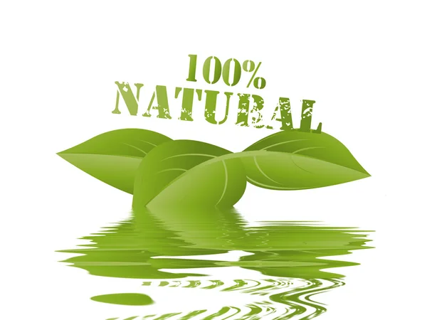 Natural Product with leaf — Stock Photo, Image