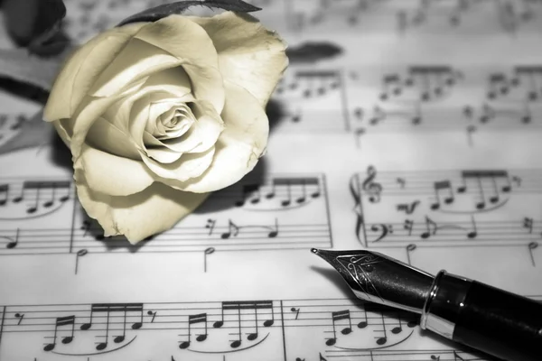 Rose on musical notes page — Stock Photo, Image