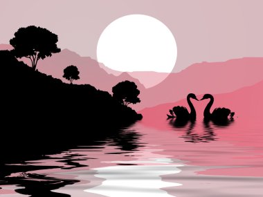 gün batımında sahilde Kuğu