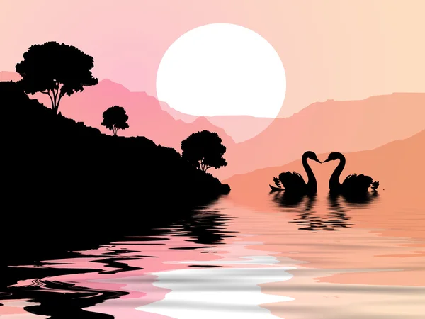 Swans on the beach at sunset — Stock Photo, Image