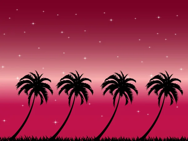 Sylwetka palmy — Zdjęcie stockowe