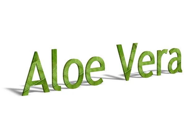 Aloe vera — Stockfoto