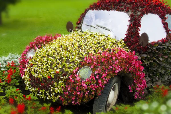 Kwiat samochód — Zdjęcie stockowe