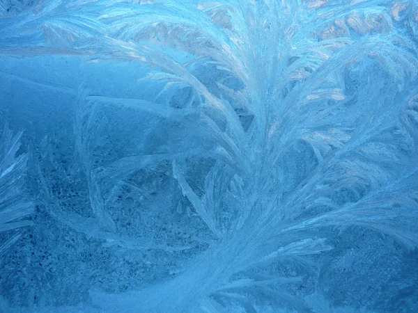 Frost — Stock Photo, Image