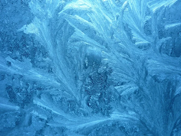 Frost — Stock Photo, Image