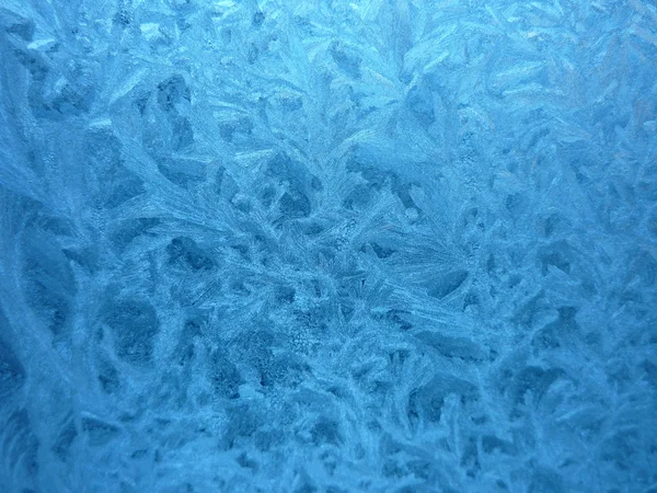 Frost — Stock Photo, Image