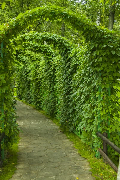 Arc in the park — Stock Photo, Image