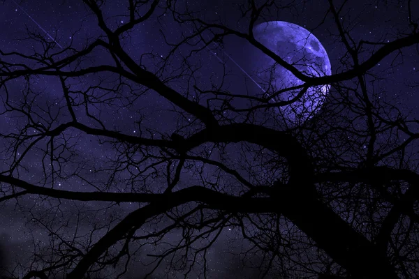 Luna e pioggia meteorica nella notte — Foto Stock