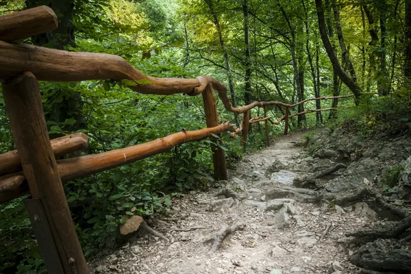 Große Schlucht der Krim Stockbild