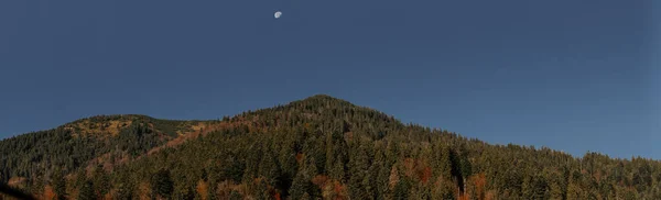 Όμορφο Πανόραμα Του Ορεινού Δάσους Του Φθινοπώρου Και Πάνω Από — Φωτογραφία Αρχείου