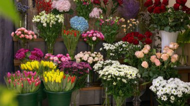 Çiçekçinin raflarındaki farklı çiçekler..