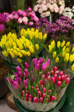 Raflardaki laleler..