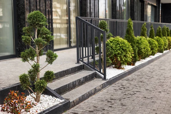 Modern bir evin yanında lüks bir peyzaj. Thuja ve küçük çalılar kaldırım kenarındaki beyaz şöminede metal parmaklıkların arkasında.