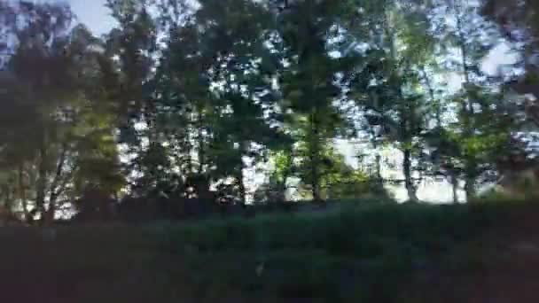 기차를 타고, 태양 광선 이나무들 사이로 반짝 이는 모습 — 비디오