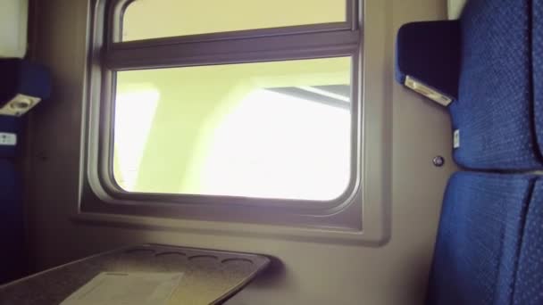 Janela Compartimento Comboio Passagem Comboio Sob Ponte Movimento Câmara — Vídeo de Stock