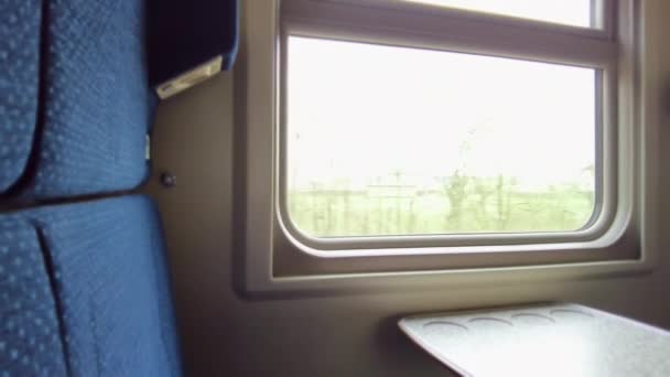 Ventana Del Compartimento Del Tren Naturaleza Fuera Ventana Movimiento Cámara — Vídeos de Stock