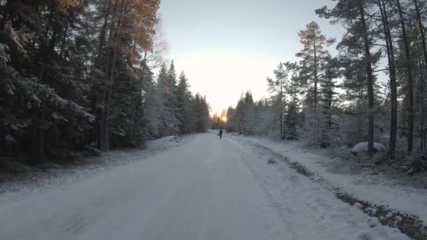 Una Donna Che Gode Tramonto Del Paesaggio Innevato Ragazza Allegra — Video Stock