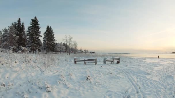 雪景色の夕日を楽しむ女性 美しい冬の日を楽しむ陽気な女の子 屋外で楽しい感情を持つ無料の女性 冬のコンセプト 4Kスローモーション — ストック動画