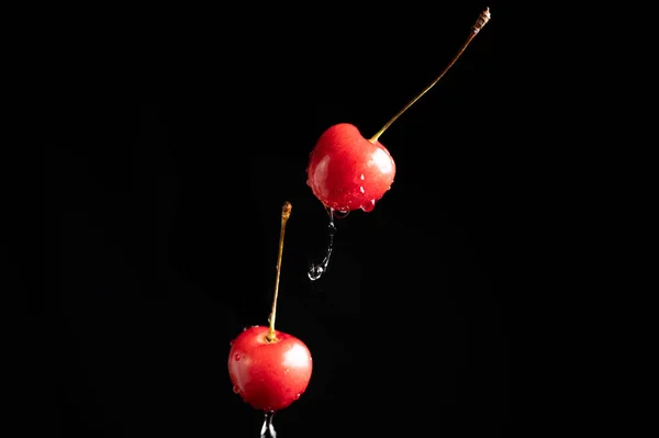 在黑暗的背景上收集新鲜的樱桃 以行动的动态射击 水滴和水壶 有水滴和深色背景的新鲜水果漂浮或漂浮 — 图库照片