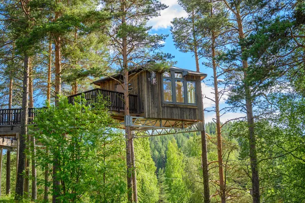Schöne Freien Ländliche Holzstruktur Baumhaus Wald Auf Der Grundlage Der Stockbild