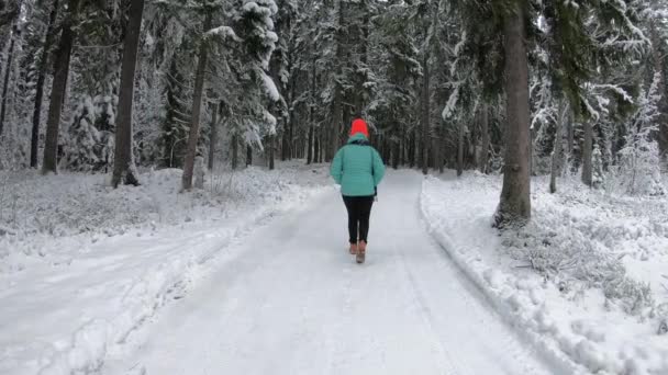 Una Donna Che Gode Tramonto Del Paesaggio Innevato Ragazza Allegra — Video Stock