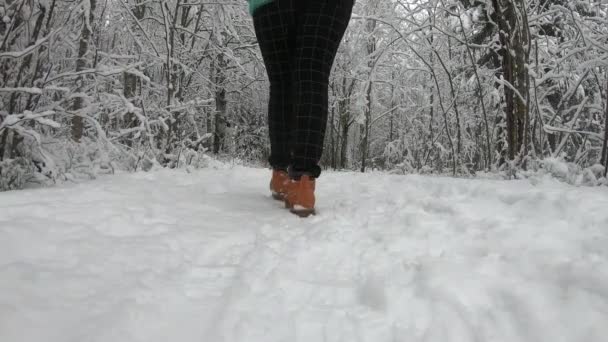 Una Mujer Disfrutando Puesta Sol Del Paisaje Nieve Chica Alegre — Vídeos de Stock