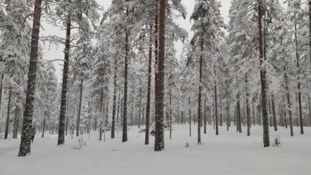 一个女人在欣赏雪景日落 快乐的女孩享受美丽的冬日 无忧无虑的女士在户外有快乐的情绪 冬天的概念4K慢动作 — 图库视频影像