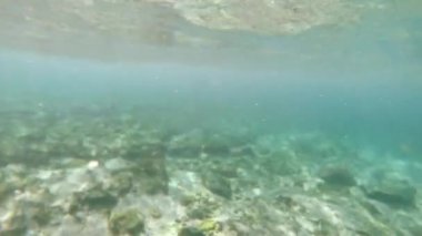 Deniz kıyısında berrak mavi-yeşil bir su manzarası. 4K güneşli günde su altından gökyüzü manzarasına. Arkaplan kopyalama alanı kavramı.