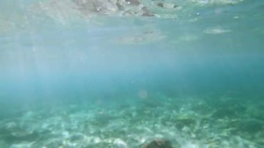 Deniz kıyısında berrak mavi-yeşil bir su manzarası. 4K güneşli günde su altından gökyüzü manzarasına. Arkaplan kopyalama alanı kavramı.