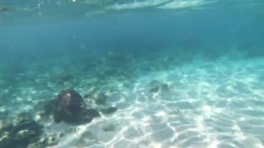 Deniz kıyısında berrak mavi-yeşil bir su manzarası. 4K güneşli günde su altından gökyüzü manzarasına. Arkaplan kopyalama alanı kavramı.