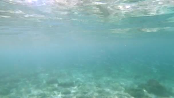 Una Vista Tranquila Del Agua Azul Verde Clara Una Orilla — Vídeo de stock