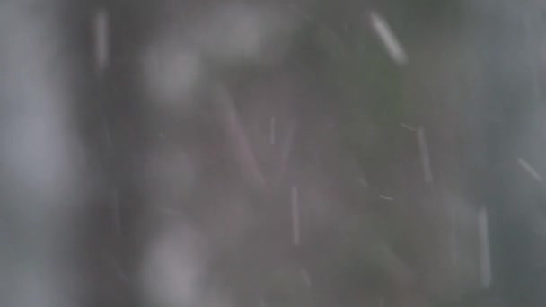 吹雪の背景 冬の間 森の分岐した木の4Kビデオの大雪 背景コピースペースの概念 — ストック動画