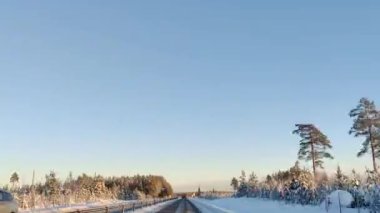 4K süratle karla kaplı yolda bir gezinti. Çam ağaçlarının tepesinde açık gökyüzü ışığı. Kış manzarasında araba sürüşünün hipersürat kamerası görüntüsü.