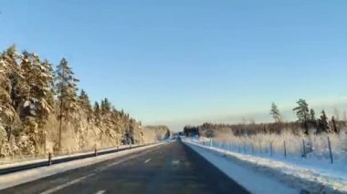 4K süratle karla kaplı yolda bir gezinti. Çam ağaçlarının tepesinde açık gökyüzü ışığı. Kış manzarasında araba sürüşünün hipersürat kamerası görüntüsü.
