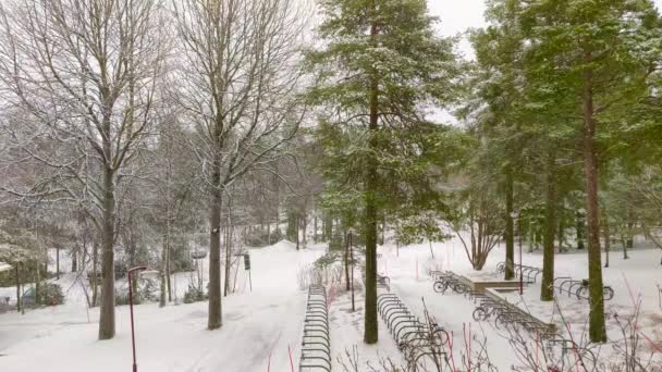 Lugn Snöfall Video Samhället Marken Med Grenade Träd Runt Vintern — Stockvideo